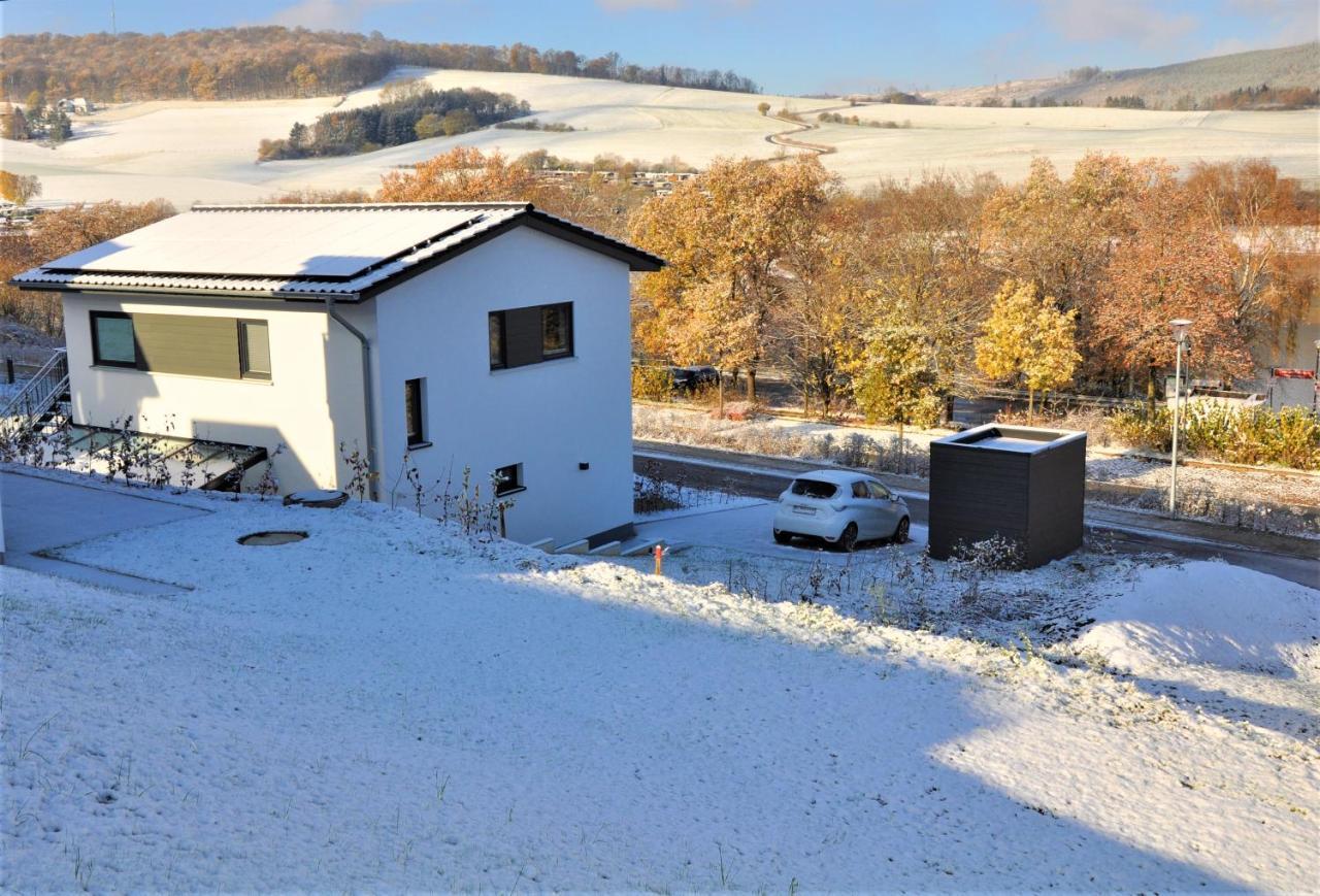 Ferienhaus Direkt Am Diemelsee-Heringhausen-Willingen-Toplage-Sauna-3 Schlafzimmer-2 Terrassen-109 Qm-Incl Waesche Buitenkant foto